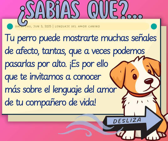 Ver más