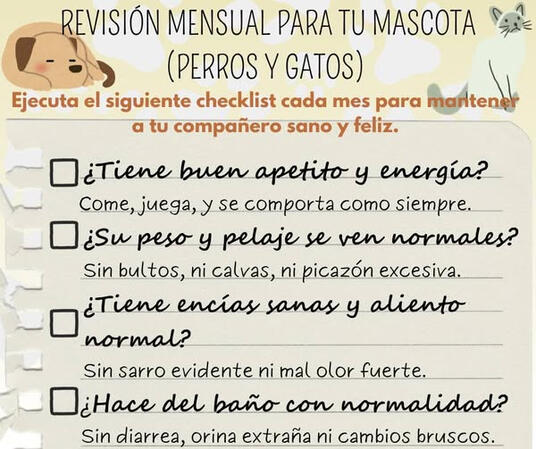 Ver más