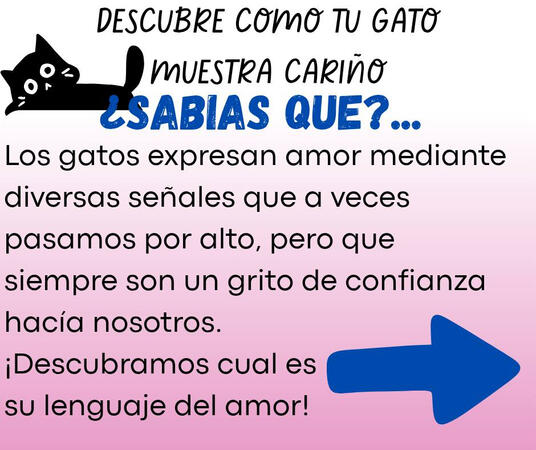 Ver más